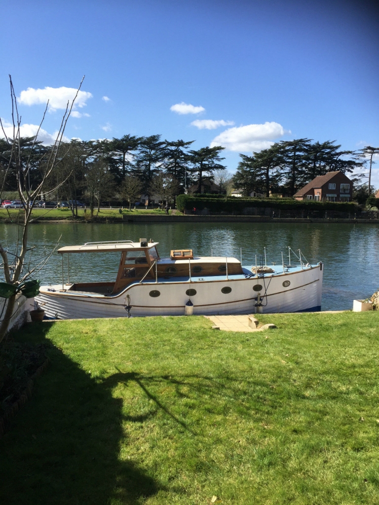 Perdita 2 for sale on ebay